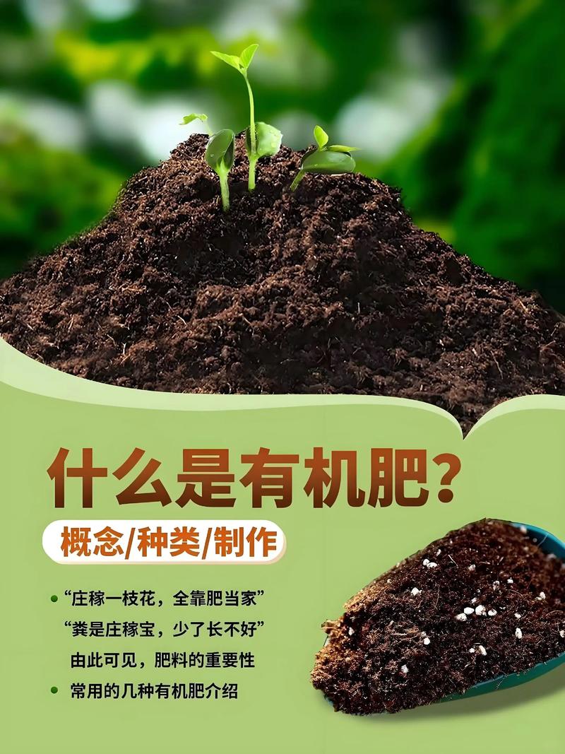 蔬菜有机肥